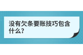 西丰西丰的要账公司在催收过程中的策略和技巧有哪些？